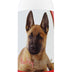 Healthy Breeds Belgian Malinois Tearless Puppy Dog Shampoo 16 oz