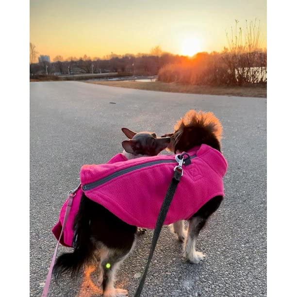 Gooby Zip Up Fleece Dog Sweater - Pink, Large - Warm Pullover Fleece Step-in Dog Jacket with Dual D Ring Leash - Winter Small Dog Sweater - Dog Clothes for Small Dogs Boy and Medium Dogs Large chest (~20")