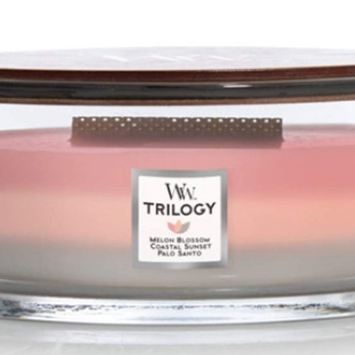 Woodwick Ellipse Scented Candles, Shoreline Trilogy (16oz) and Coastal Sunset (16oz) Candle + Candle, Coastal Sunset