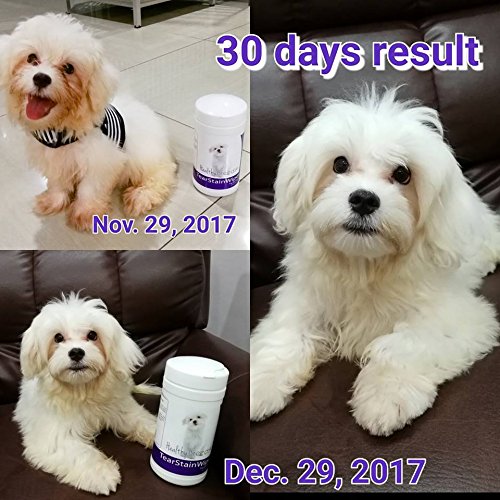 Healthy Breeds Labradoodle Tear Stain Wipes 70 Count Labradoodle, Chocolate