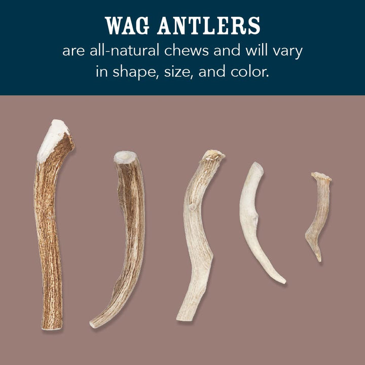 Wag Split Elk Antler, Naturally Shed, Medium (Best for Dogs 15-30 lbs) 2.4 Ounce (Pack of 1)