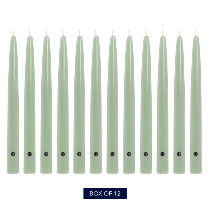 Colonial Candle Unscented Taper Candle, Handipt Collection, Limoncello, 12 in, Pack of 12 - Up to 10 Hours Burn