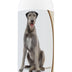 Healthy Breeds Irish Wolfhound Oatmeal Shampoo with Aloe 16 oz