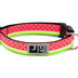 RC Pets 1 Inch Adjustable Dog Clip Collar, Medium, Watermelon