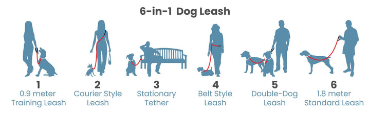 Kurgo 6 in 1 Quantum Leash, Hands Free Leash for Dogs, Running Belt Lead, Crossbody & Waist Belt Style, Reflective, Carabiner Clip, for Training, Hiking, or Jogging, 4 Colors,Violet Violet