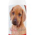 Healthy Breeds Rhodesian Ridgeback Tearless Puppy Dog Shampoo 16 oz