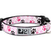 RC Pets 3/4 Inch Adjustable Dog Clip Collar, Small, Pitter Patter Pink S (Neck: 9"-13", Strap Width: 0.75")