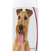 Healthy Breeds Irish Terrier Deodorizing Shampoo 16 oz