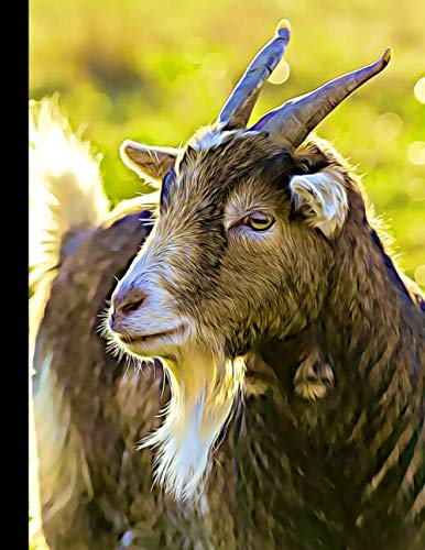 2020 Planner - Goat - Daily and Monthly Planner: The Perfect Gift - 2020 Planner for Goat Lovers - Men, Women, Teens and Kids Love these Diaries