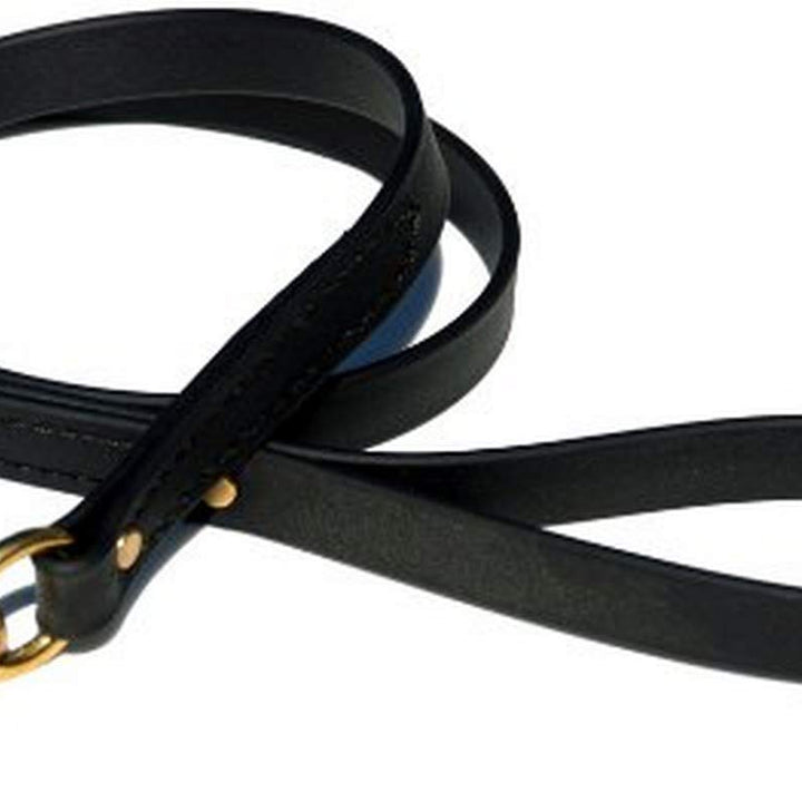 Biothane Leash, 4-Feet x 3/4-Inch, Black