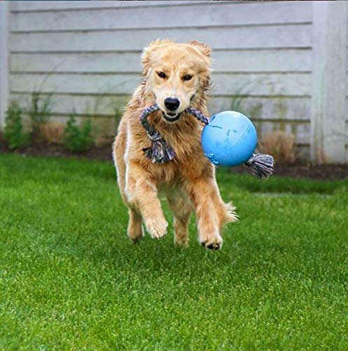 Jolly Pets Romp-n-Roll Rope and Ball Dog Toy, 6 Inches/Medium, Blueberry, Model Number: 606 BB, All Breed Sizes