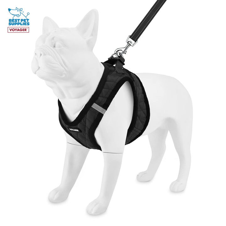 Voyager Step-in Plush Dog Harness – Soft Plush, Step in Vest Harness and Reflective Dog 5 ft Leash Combo with Neoprene Handle for Small and Medium Dogs by Best Pet Supplies -Set (Black Plush), L Harness Leash Set (Black Plush) L (Chest: 18 - 20.5")