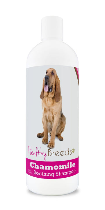 Healthy Breeds Bloodhound Chamomile Soothing Dog Shampoo 8 oz