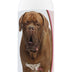 Healthy Breeds Dogue de Bordeaux Deodorizing Shampoo 16 oz