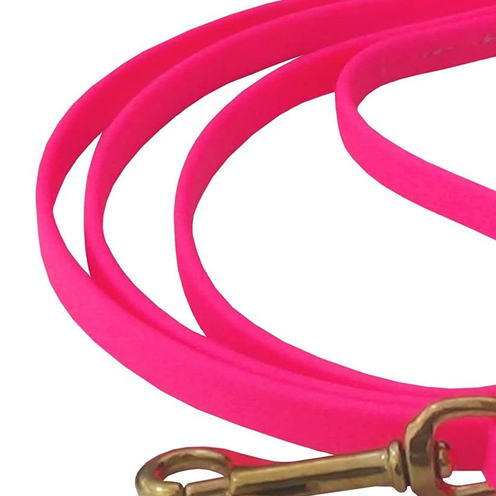 J&J Dog Supplies Biothane Dog Leash, 1/2" Wide by 6' Long, Pink