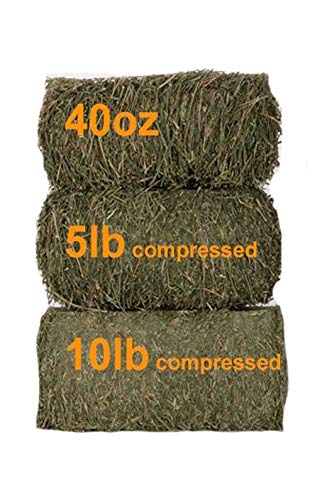 Grandpa's Best Timothy Hay Bale, 5lbs 5 Pound (Pack of 1)