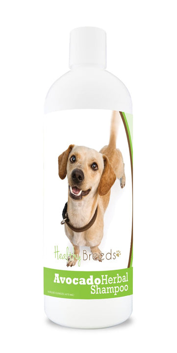 Healthy Breeds Chiweenie Avocado Herbal Dog Shampoo 16 oz