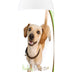 Healthy Breeds Chiweenie Avocado Herbal Dog Shampoo 16 oz