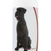 Healthy Breeds Giant Schnauzer Deodorizing Shampoo 16 oz
