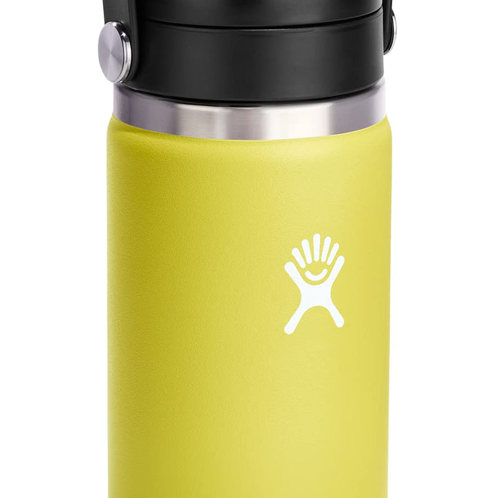 Hydro Flask 16 oz Wide Mouth with Flex Sip Lid Stainless Steel Reusable Water Bottle Cactus - Vacuum Insulated, Dishwasher Safe, BPA-Free, Non-Toxic