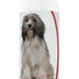 Healthy Breeds Tibetan Terrier Deodorizing Shampoo 16 oz