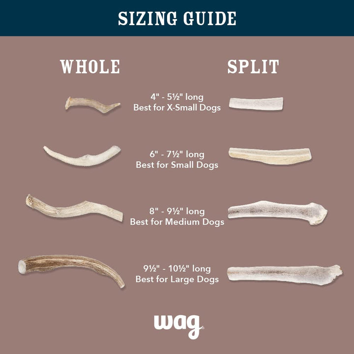 Wag Deer Antler Chew for Dogs, Naturally Shed, Whole, Medium 6 - 7.5 inches, Best for Dogs 15-30 lbs, 1.80 Ounce (Pack of 1) 1.8 Ounce (Pack of 1)