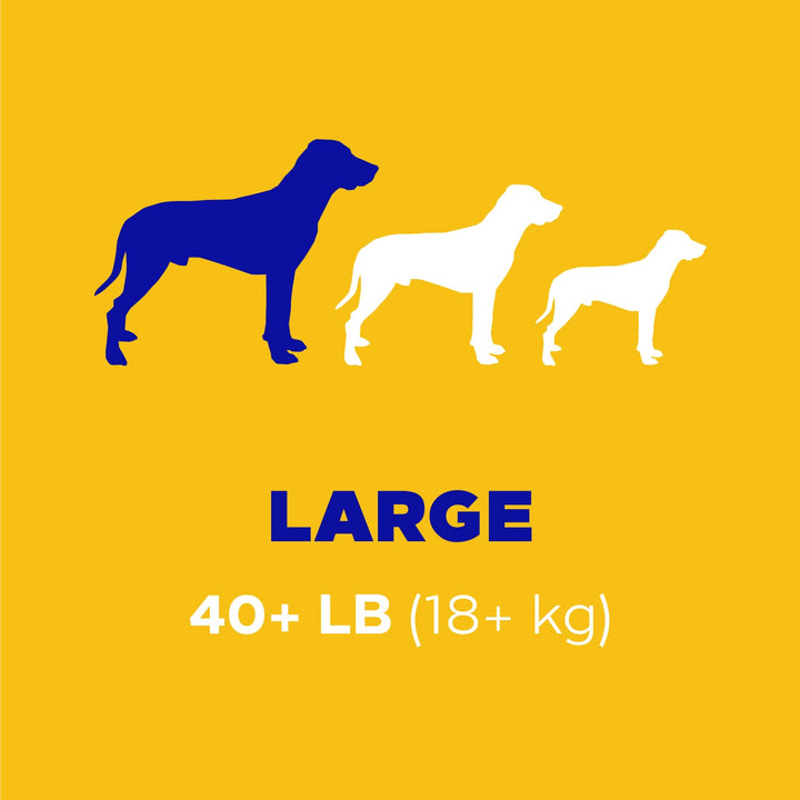 PEDIGREE DENTASTIX Large Dog Dental Treats Original Flavor Dental Bones, 14.99 oz. Pack (18 Treats) Chicken 14.99 Ounce (Pack of 1)