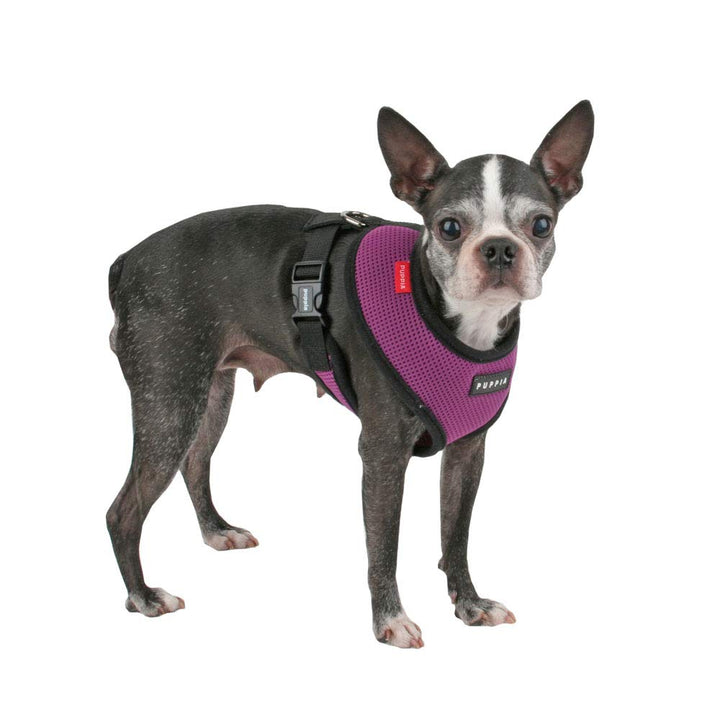 Puppia Soft Dog Harness No Choke Over-The-Head Triple Layered Breathable Mesh Adjustable Chest Belt and Quick-Release Buckle, Purple, Medium