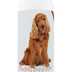 Healthy Breeds Cocker Spaniel Smelly Dog Baking Soda Shampoo 8 oz