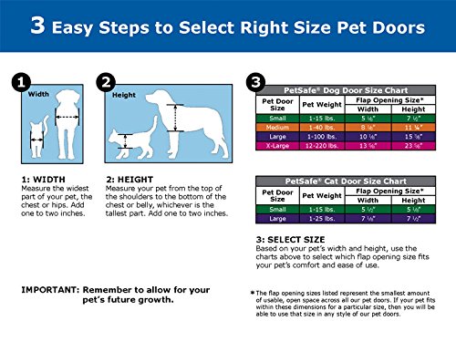 PetSafe Exterior / Interior Cat Door: Staywell Big Cat 4-Way Locking Pet Door Flap for Large Cats- Tinted Privacy Door- Weatherproof, Durable Door Frame- DIY Easy Install with Hardware Kit Included Big Cat Door