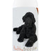Healthy Breeds Portuguese Water Dog Smelly Dog Baking Soda Shampoo 8 oz 8 Fl Oz