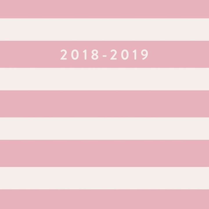 2018-2019: Blush Stripe, July 2018 - December 2019, 6” x 9” (2018 2019 18-Month Daily Weekly Monthly Planner, Organizer, Agenda and Calendar)