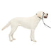 PetSafe Gentle Leader No-Pull Dog Headcollar - The Ultimate Solution to Pulling - Redirects Your Dog's Pulling for Easier Walks - Helps You Regain Control - Large, Charcoal Grey, Charcoal