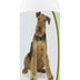 Healthy Breeds Airedale Terrier Avocado Herbal Dog Shampoo 16 oz