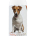 Healthy Breeds Jack Russell Terrier Smelly Dog Baking Soda Shampoo 8 oz