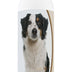 Healthy Breeds Miniature American Shepherd Oatmeal Shampoo with Aloe 16 oz