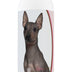 Healthy Breeds American Hairless Terrier Deodorizing Shampoo 16 oz