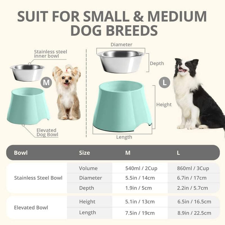 Fluffydream Elevated Dog Bowls,[Prevention of Vertebrae Disease] Non-Slip Dog Bowl with Stainless Steel Bowl,High Capacity Dog Food Bowls,Colorful Raised Dog Bowls for Medium/Small Size Dogs M (540ML / 2 Cups) MintGreen