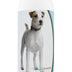 Healthy Breeds Parson Russell Terrier Bright Whitening Shampoo 12 oz
