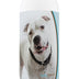 Healthy Breeds Pit Bull Bright Whitening Shampoo 12 oz
