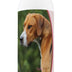 Healthy Breeds English Foxhound Deodorizing Shampoo 16 oz