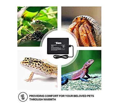 iPower 6 by 8-Inch 8 Watts Reptile Heating Mat with Temperature Controller Under Tank Warmer Terrarium Heat Pad for Reptiles and Amphibians, Black