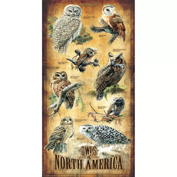 Sunsout Owls of North America 500 Pc Jigsaw Puzzle 66415