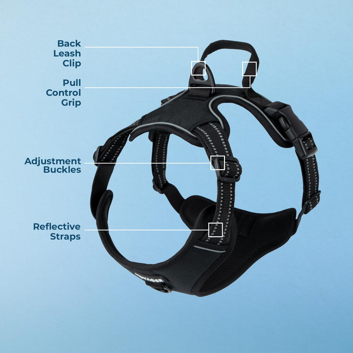 Dog Harness Dual Leash Attachment No-Pull Control Adjustable Soft but Strong Pet Harness for Medium and Large Dogs with 3M Reflective Technology - Black, XS (Chest: 13 - 16") XS (Chest: 13 - 16") Harness (Black Nylon)