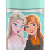 THERMOS FUNTAINER Water Bottle with Straw - 12 Ounce, Frozen 2 - Kids Stainless Steel Vacuum Insulated Water Bottle with Lid Licensed Characters