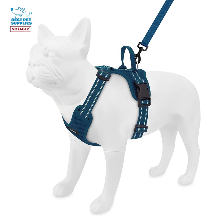 Air Frontier Mesh Dog Harness with and Reflective Dog Leash Set, Reflective Stitching, and Lightweight Breathable No-Pull Design, Adjustable Neck and Chest Straps for Small to Large Breeds - BUW, XL