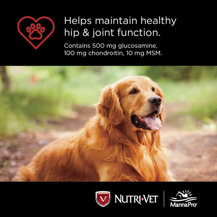 Nutri-Vet Hip & Joint Chewable Dog Supplements | Formulated with Glucosamine & Chondroitin for Dogs | 180 Count