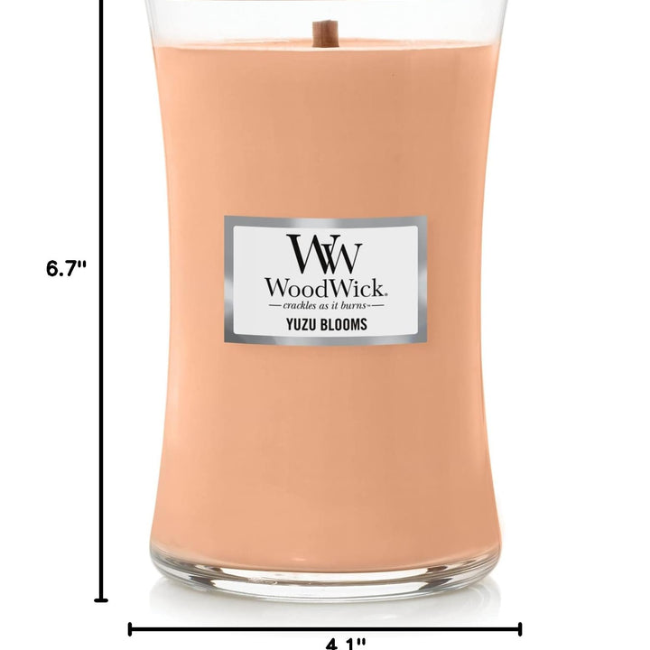 WoodWick Antiquarium Medium Hourglass Candle