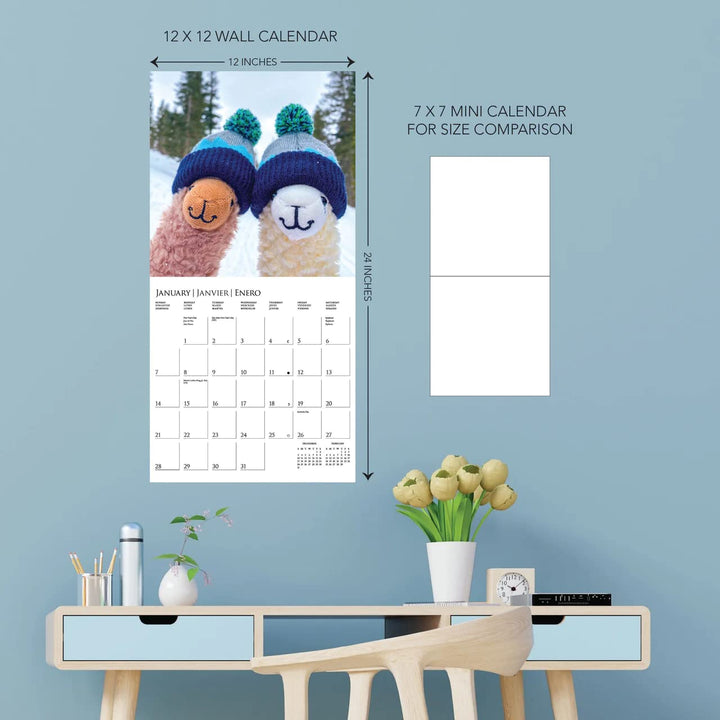 Graphique 2024 Llama with No Drama Wall Calendar | 12” x 12” | Thick Paper | Home & Office Organizer | Large Monthly Grid | 3 Languages & Marked Holidays | 4 Month Preview Page for 2025