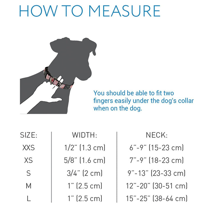 RC Pets 1 Inch Adjustable Dog Clip Collar, Large, Shark Attack L (Neck: 15"-25", Strap Width: 1")